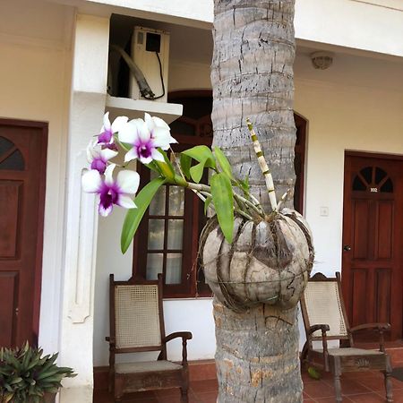 Hotel Lagoon Paradise Negombo Extérieur photo
