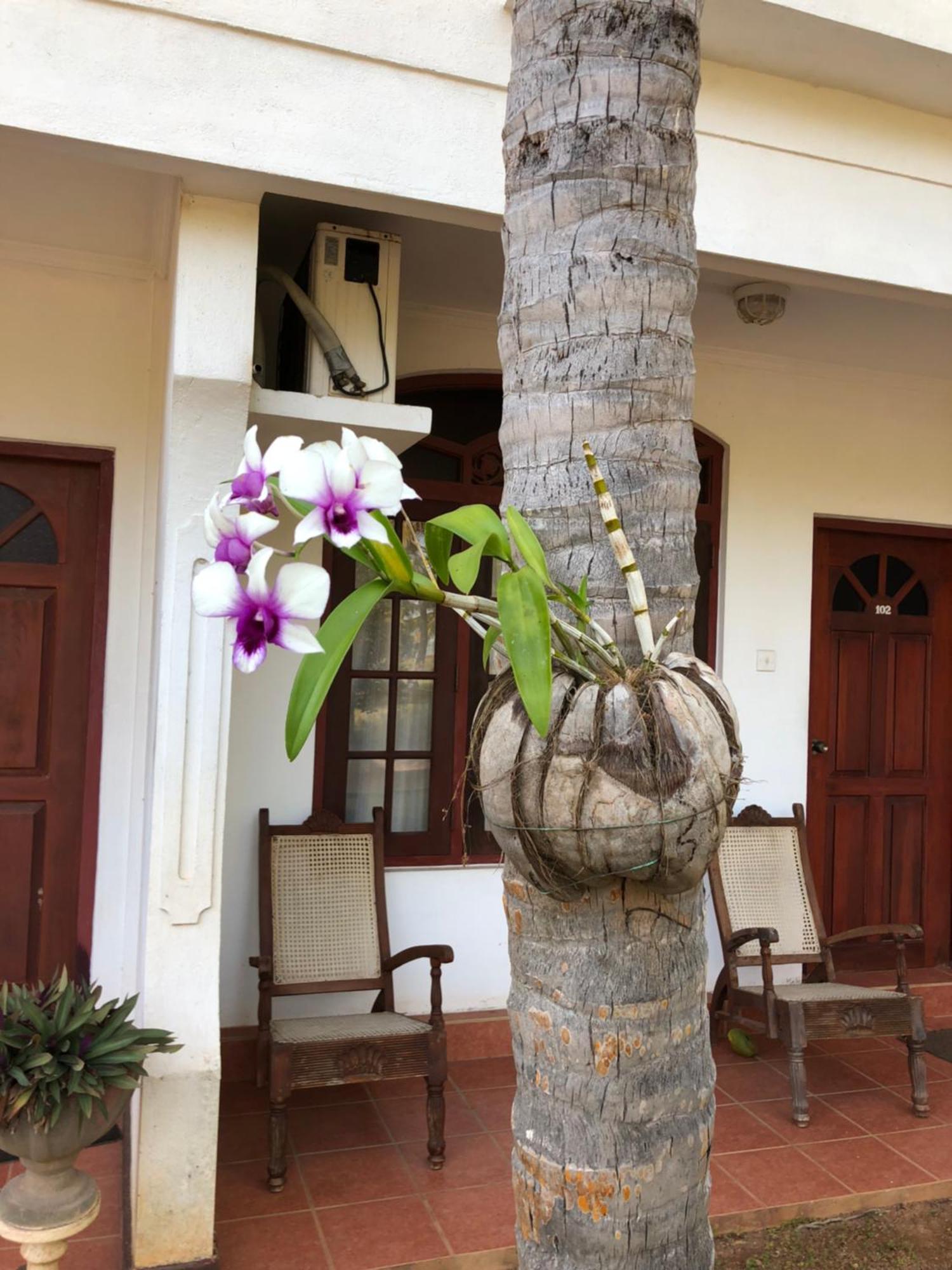 Hotel Lagoon Paradise Negombo Extérieur photo