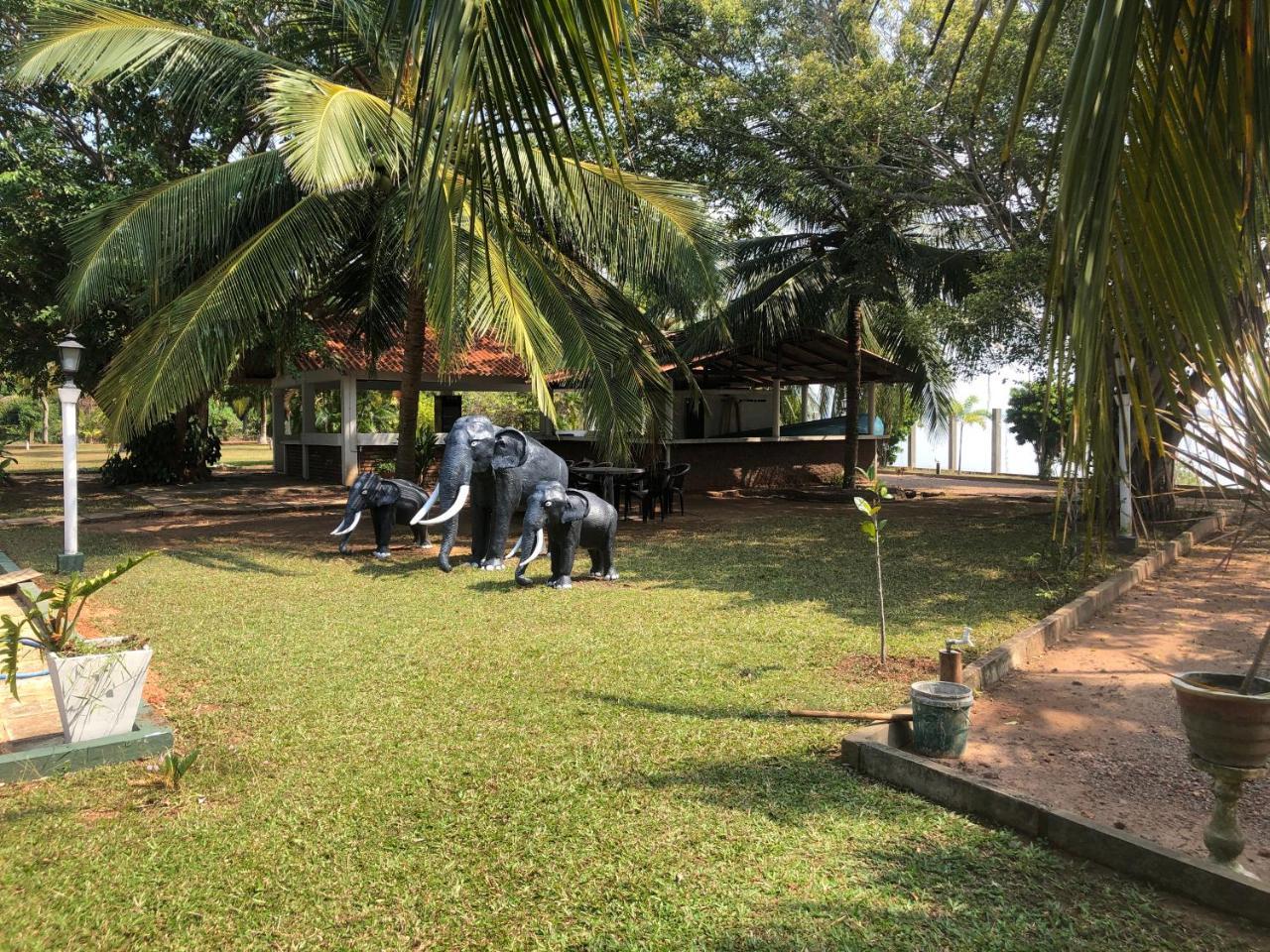 Hotel Lagoon Paradise Negombo Extérieur photo